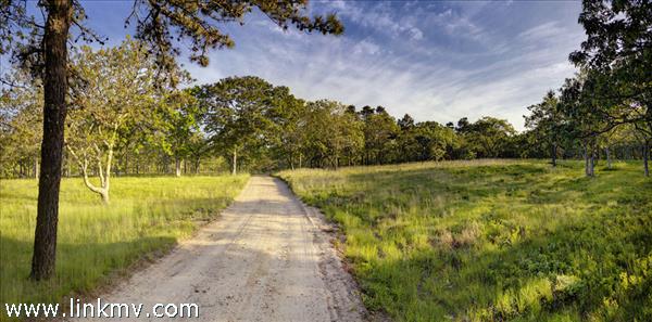 The Orchard Lot at South Shore Estates, West Tisbury, MA