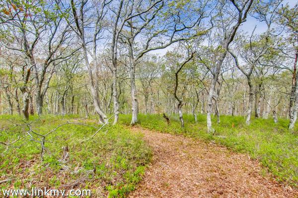 98 Kings Highway Chilmark MA