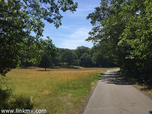 28 Bea Lane West Tisbury MA