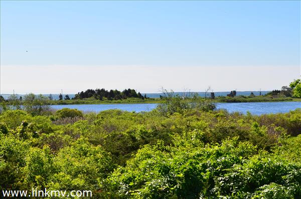90 South Circuit Avenue Oak Bluffs MA
